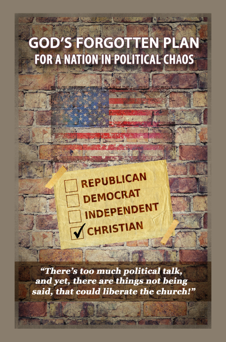 Anti-Politics Book